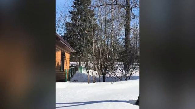 Масленица в парке чудес удалась) хорошо отдохнули 😊 смотреть онлайн