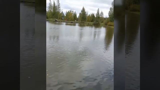 Платник "Фишка" смотреть онлайн