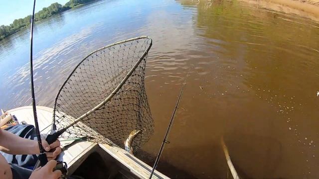 Рыбалка на спиннинг на Вятке. Начало июля. смотреть онлайн