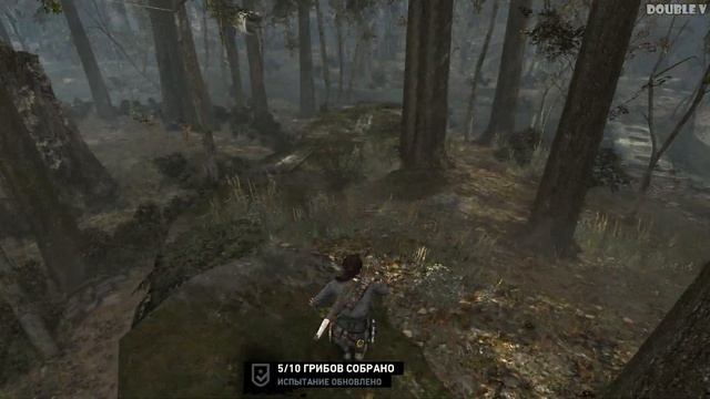 Tomb Raider 2013 | Тихая охота | Полный маршрут!