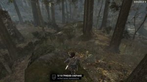 Tomb Raider 2013 | Тихая охота | Полный маршрут!