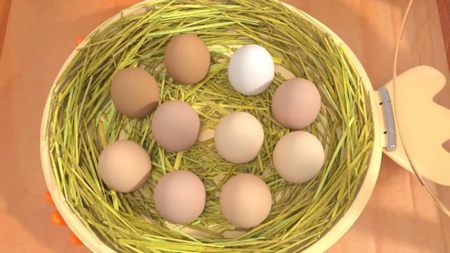 Играйте На улице, / Play Outside Song More Nursery Rhymes & Kids Songs - CoComelon