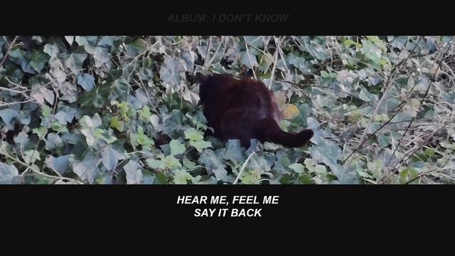 I GOT BORED | LYRICS смотреть онлайн