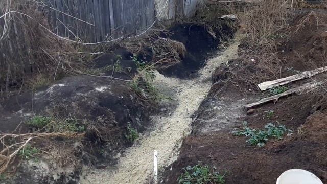 второй день на новой поляне смотреть онлайн