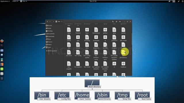 What is a Root User and Directory Structure in Kali Linux смотреть онлайн
