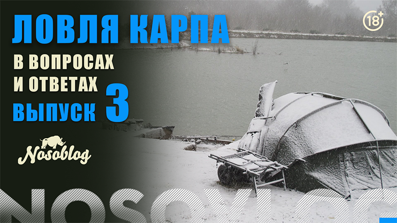 Карпфишинг в вопросах и ответах, выпуск 3, Колесников А. смотреть онлайн