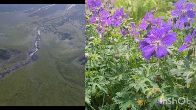 Северная ОсетияЗругское озеро.
