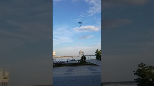 Птичка сама летает смотреть онлайн