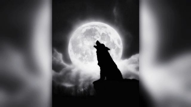 Remix Danheim Berserkir Slowed Reverb By Effect Turpal777 смотреть онлайн