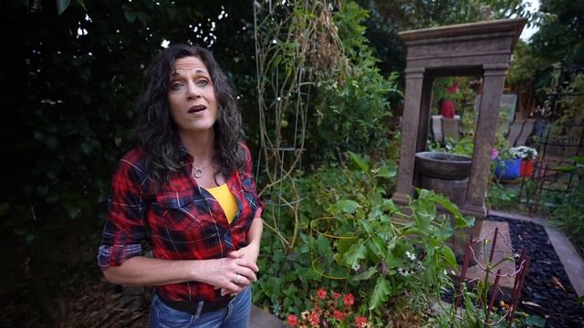 October Garden Tour: Transitioning from Summer to Fall 🍁 смотреть онлайн
