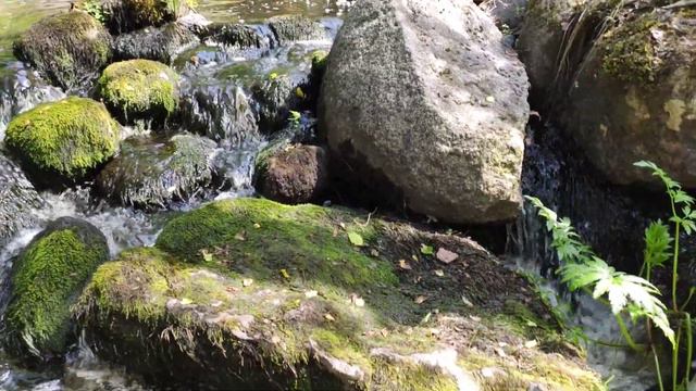 Небольшой водопад на р.Величка смотреть онлайн