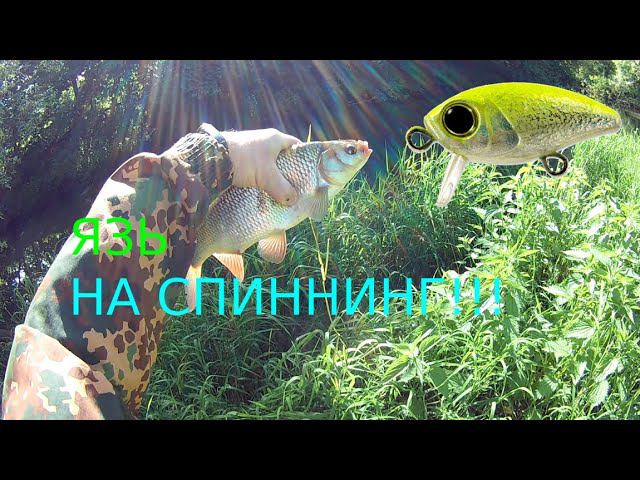 ЯЗЬ на спиннинг. Bug minnow 25 SR зарешал. смотреть онлайн
