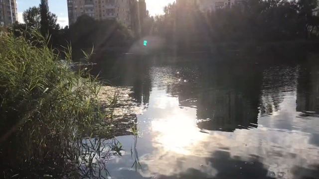 В Озере Белое Водятся Русалки! Киев, Оболонь