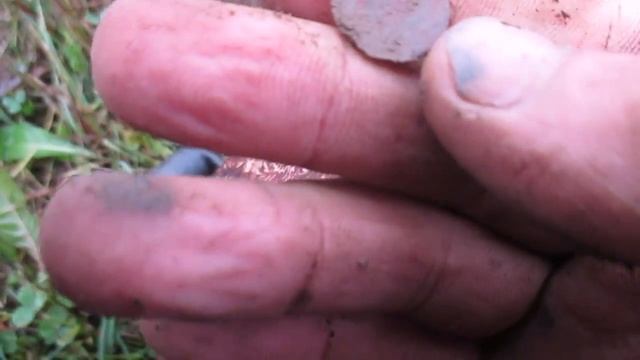 Добиваем деревеньку на скошеном поле(Minelab Safari) смотреть онлайн