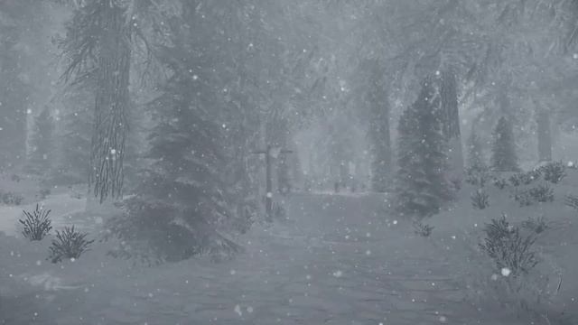 Skyrim SE 4K Music & Ambience | Walking Across Skyrim - Morthal To Heljarchen | Ambient Music
