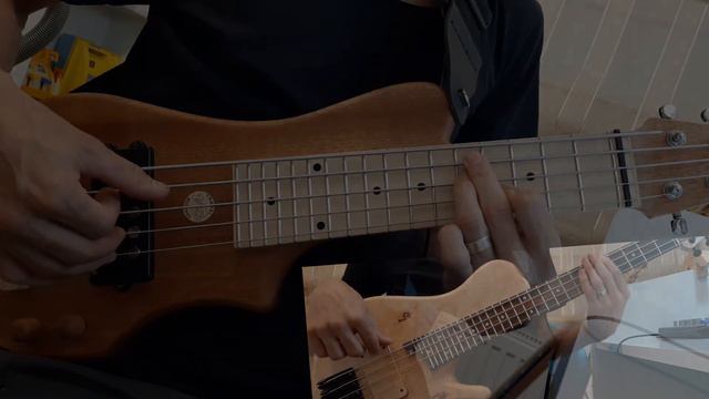 Vb custom travel basses & guitars- Powerful travel bass session смотреть онлайн