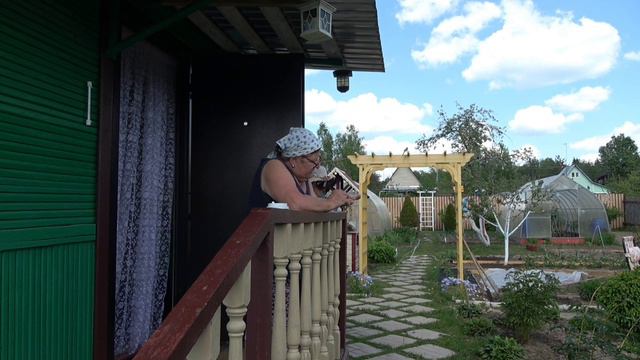 6 соток 29 мая 2024 года. Хроника.