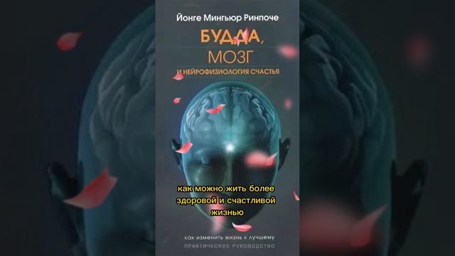 Будда, мозг и нейрофизиология счастья Как изменить жизнь к лучшему смотреть онлайн