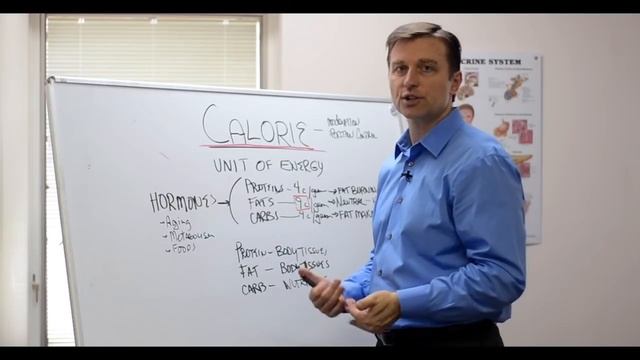Calorie Myth – Why Low Calories Does Not Equal Weight Loss – Dr.Berg смотреть онлайн