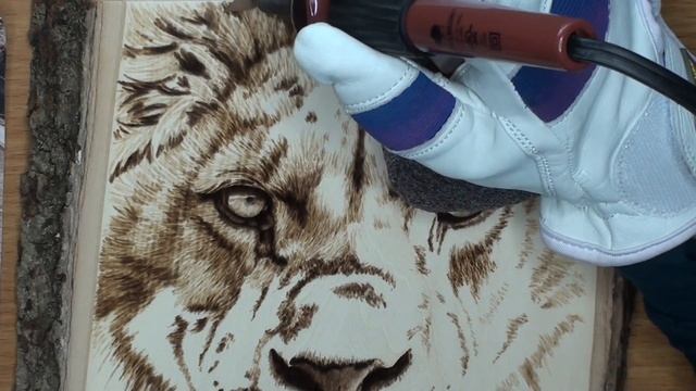 10 Tips for Wood Burning REALISTIC animals смотреть онлайн
