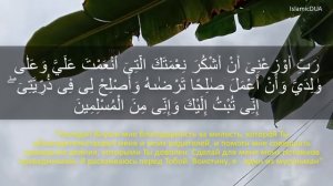 5 Дуа на успех и удачу детей