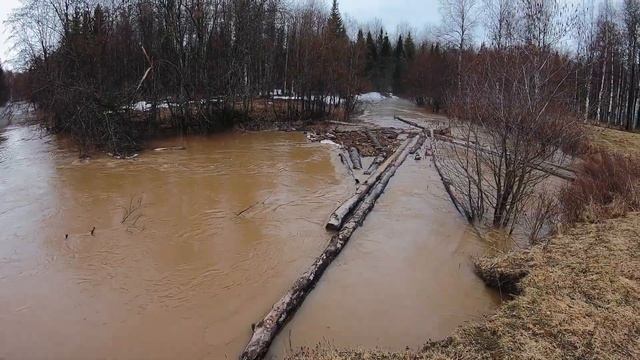 Лесные поляны смотреть онлайн