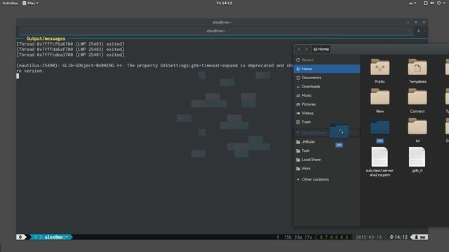 GDB Dashboard | Modular visual interface for GDB in Python. смотреть онлайн