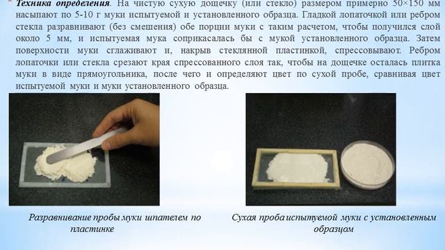 "Мыкты санарип-сабак" сынагынын катышуучусу смотреть онлайн