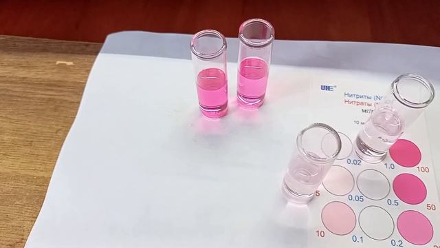 Tetra Bactozym: быстрый запуск / перезапуск аквариума, креветочника. Как работает добавка. смотреть онлайн