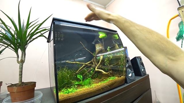 Чуть не запорол аквариум смотреть онлайн