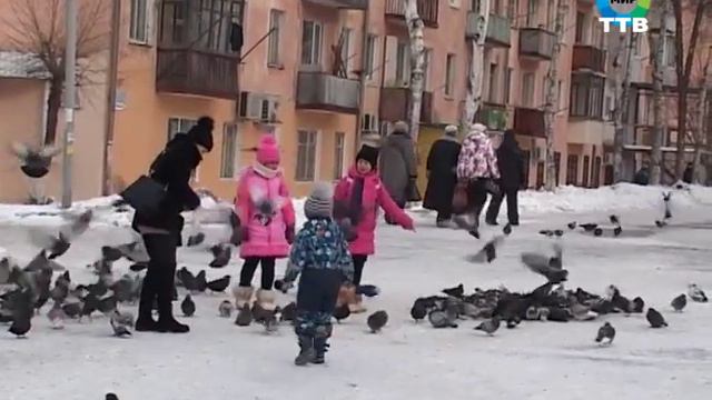 День света и теплом открытых сердец смотреть онлайн