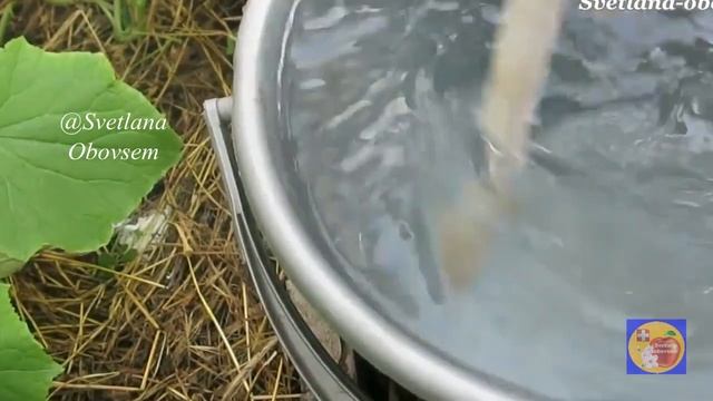 СРОЧНО ПОКОРМИ ОГУРЦЫ СОДОЙ.УНИВЕРСАЛЬНОЕ УДОБРЕНИЕ ПОВЫШАЕТ УРОЖАЙНОСТЬ И ЗАЩИТА ВСЕГО ОГОРОДА смотреть онлайн