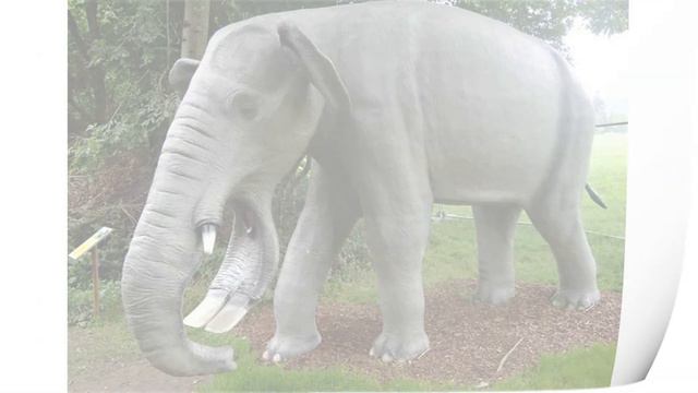 Presentation "Animals then and now" • Elephants and their ancestors смотреть онлайн