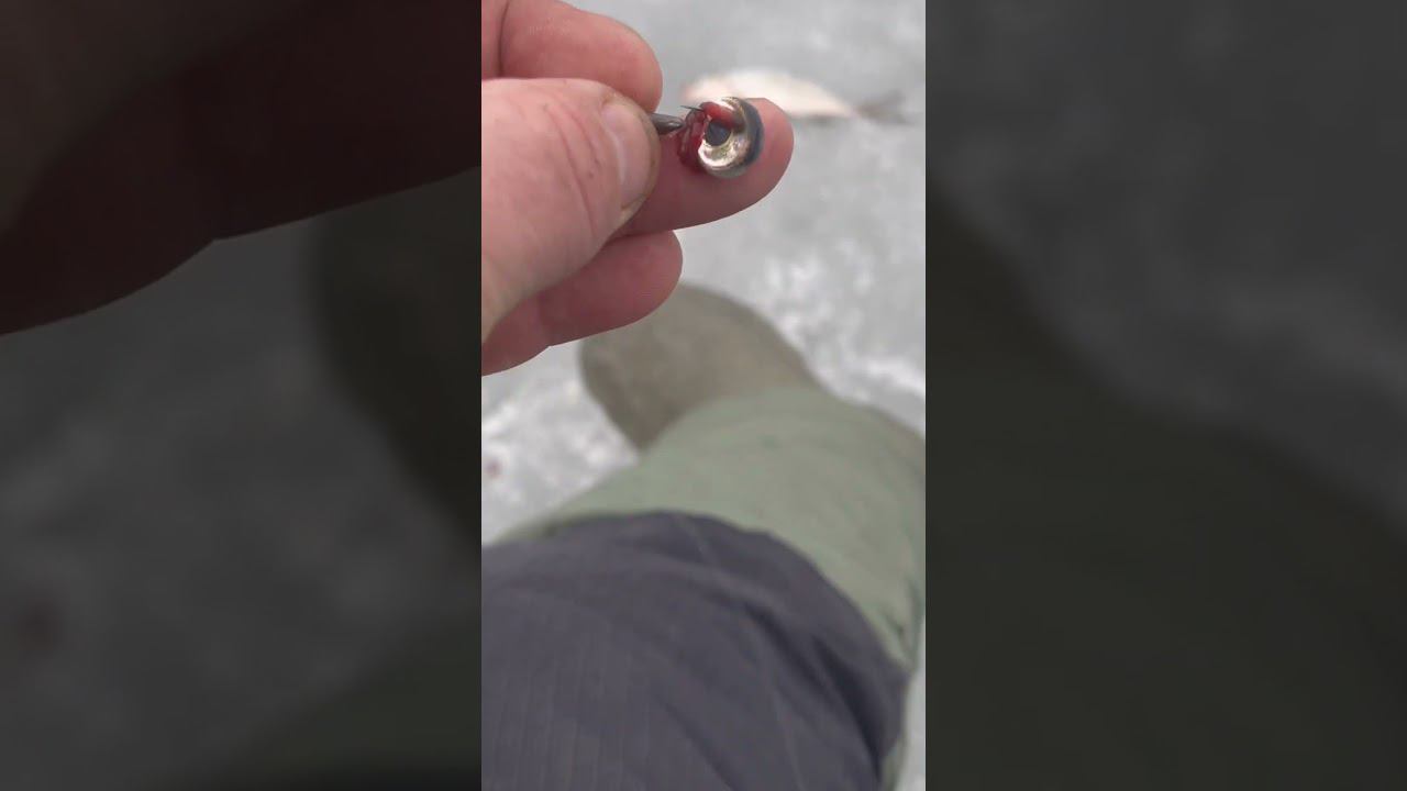 Вот это улов блин. Такое клюнуло первый раз. смотреть онлайн