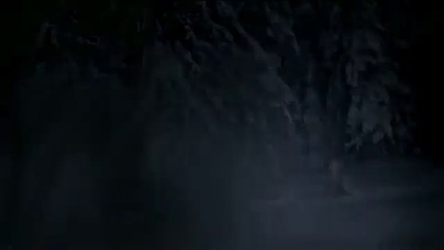 Волки согрели человека