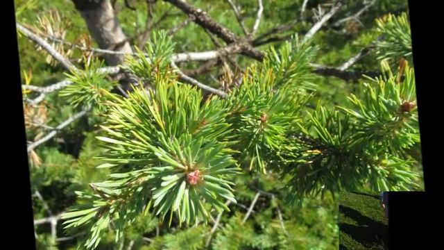 Путешествие на Заяцкий остров смотреть онлайн