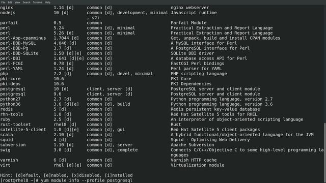 RHEL 8 - Modules and Application Stream Overview смотреть онлайн