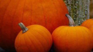 Зачем нужно есть тыкву? Тыква – польза и вред для организма человека!