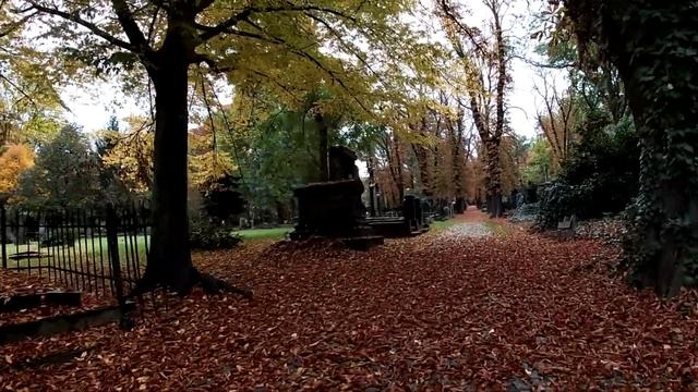 Старое Еврейское кладбище. Прага. Октябрь 2019 смотреть онлайн