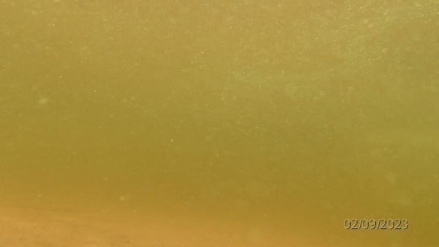 САП в Саратове. SUP Boarding Saratov. смотреть онлайн