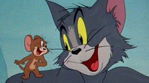 Tom & Jerry 14