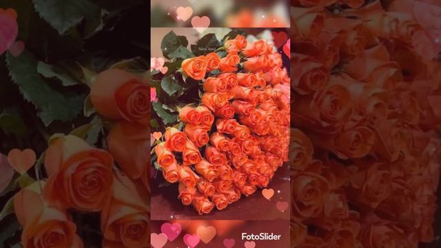 ДОБРЫЙ ВЕЧЕР смотреть онлайн