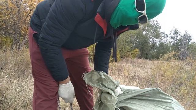 Делаю из помойного пустыря сквер для людей смотреть онлайн