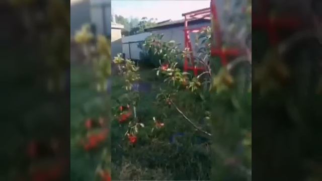 линейная 45 смотреть онлайн