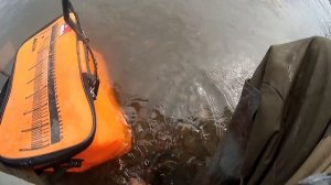 Ловля в центре Красноярска  Рыбалка на абаканской протоке остров Отдыха