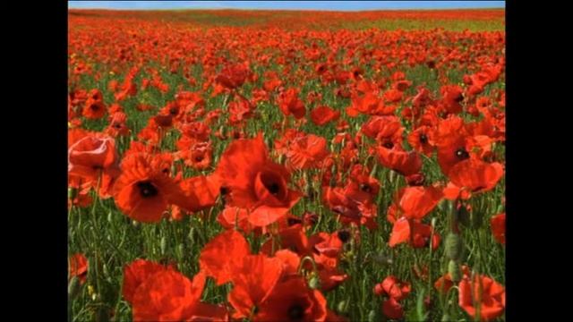 Первый раз смотреть онлайн