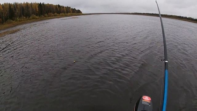 ПРОВЕРКА ПРОДОЛЬНИКОВ \ ЕСТЬ НАЛИМ \ ОКУНЁВЫЙ КЛОНДАЙК \ РЫБАЛКА С МАЗАЕМ \ Часть 1 смотреть онлайн