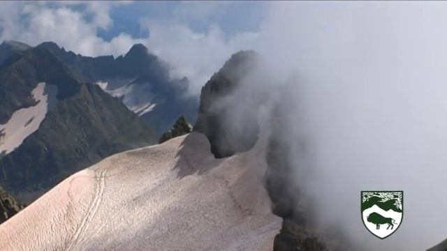 90 лет Кавказскому заповеднику смотреть онлайн