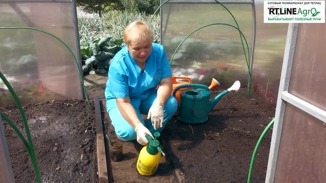 ? Дезинфекция и дезинсекция теплицы после выращивания огурцов. смотреть онлайн