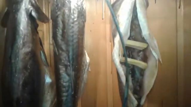 Коптильни горячего и холодного копчения. смотреть онлайн